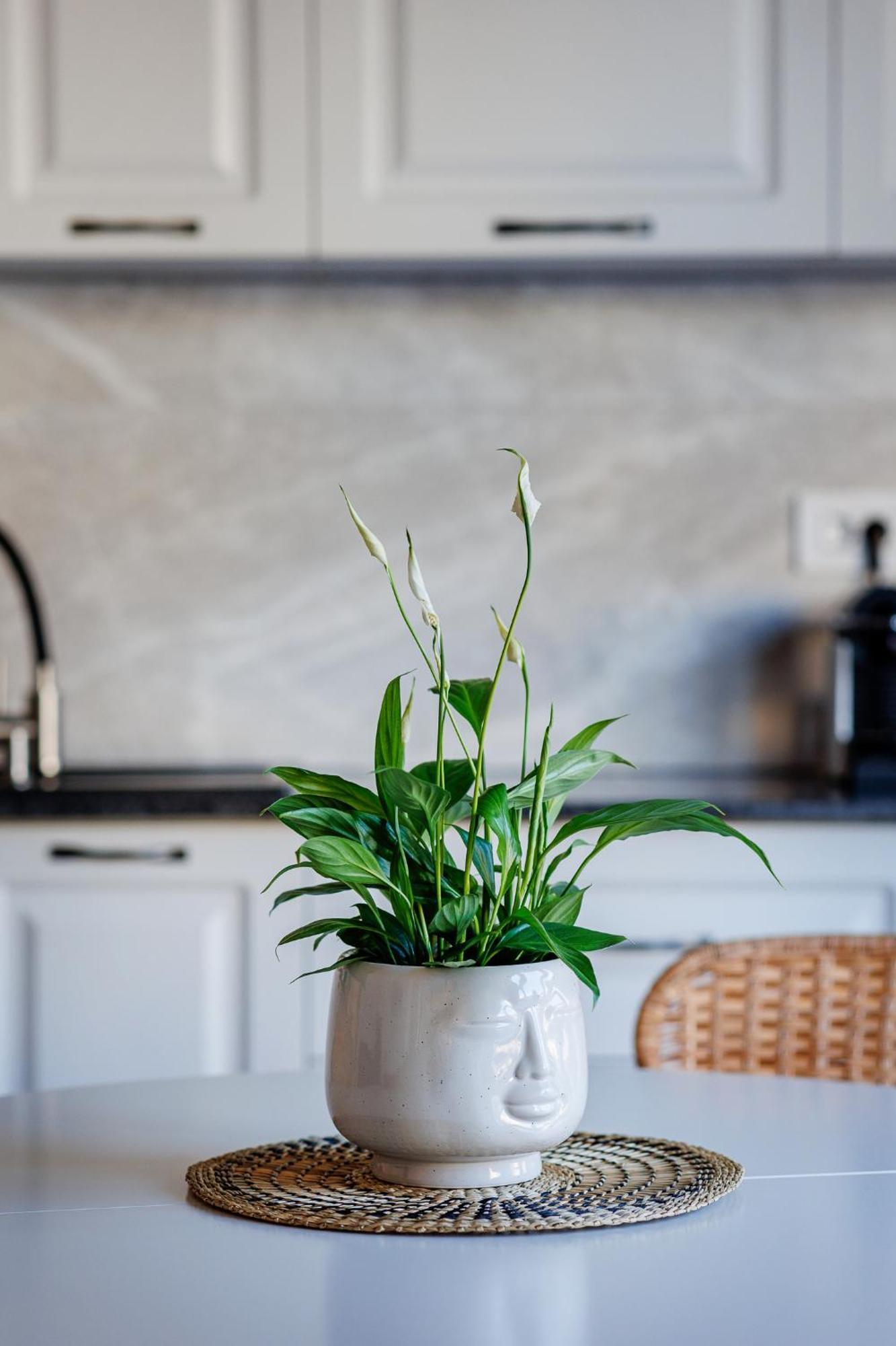 The Corner Luxe Apartment Bucharest Luaran gambar